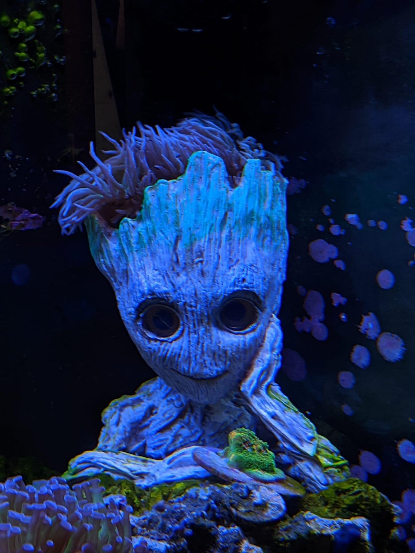 GROOT