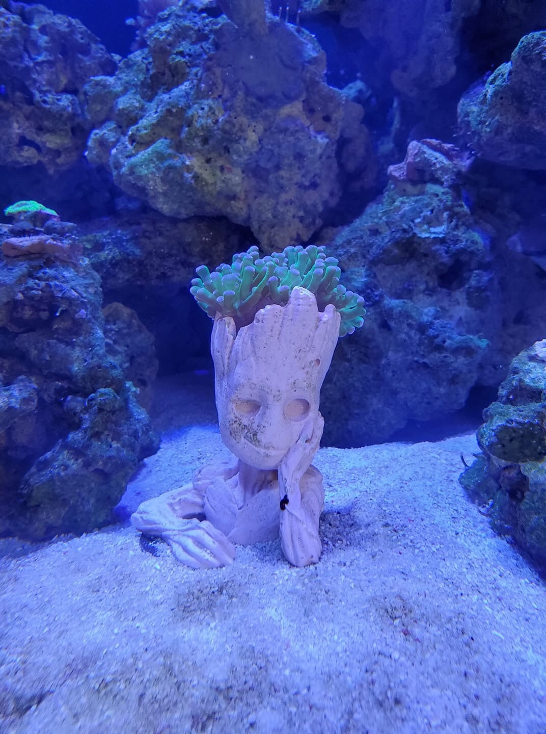 GROOT