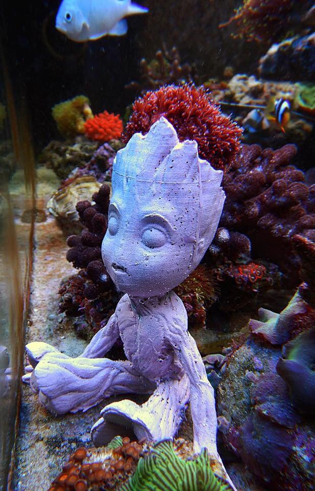 GROOT