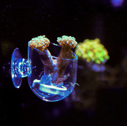The Frag Pot